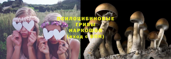 Альфа ПВП Баксан