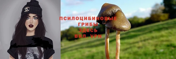 Альфа ПВП Баксан