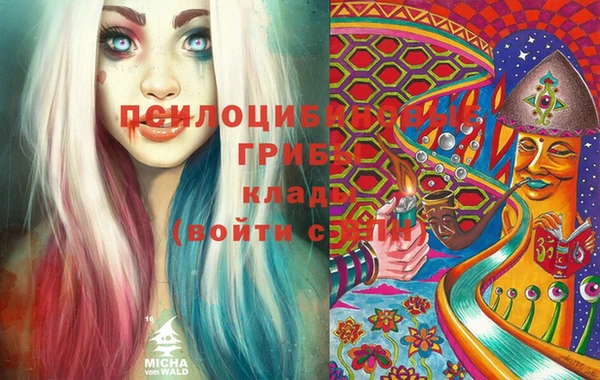 Альфа ПВП Баксан