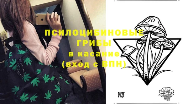 СК Балахна