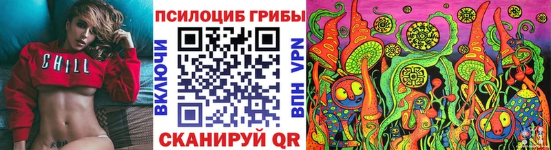 купить   Балахна  Псилоцибиновые грибы прущие грибы 